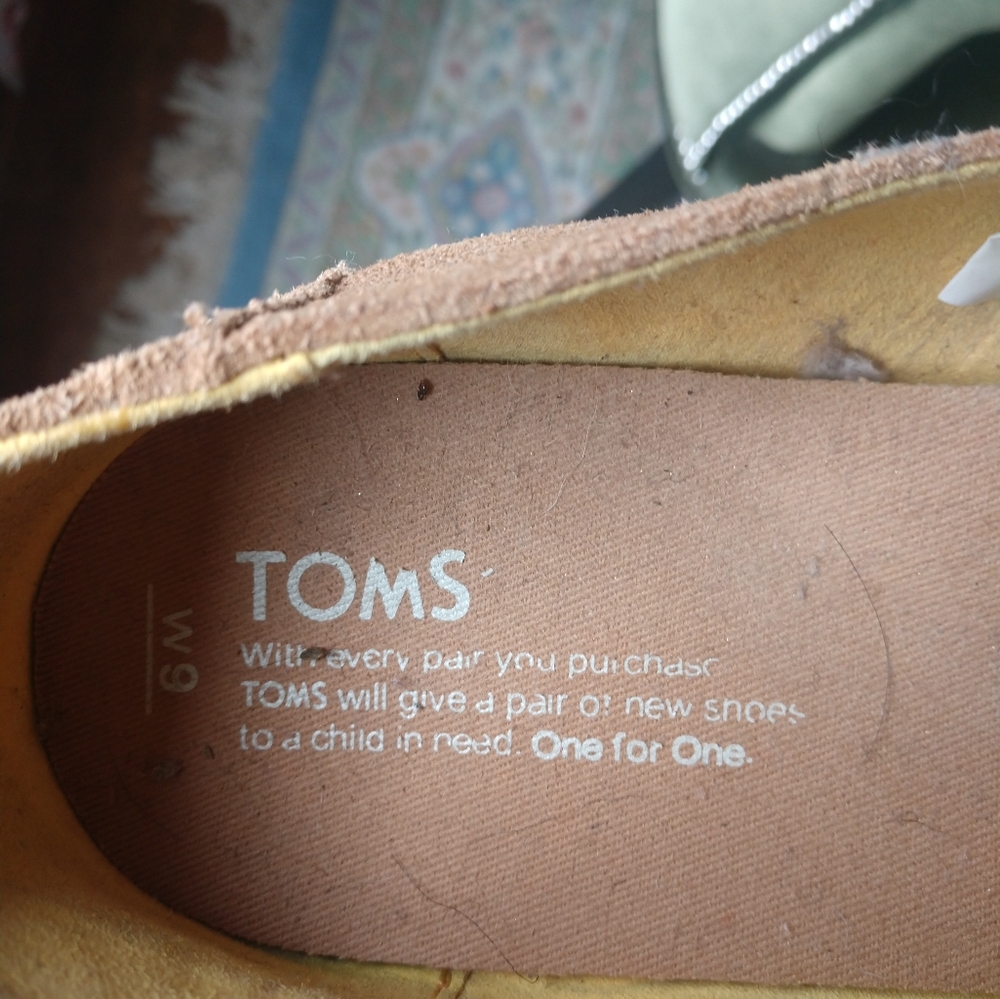 Tom's suede shoes